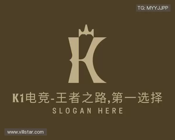了解k1电竞